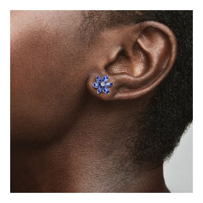 Pandora 292407C01 Ohrringe Ohrstecker Funkelnde Blaue Herbarium Cluster Silber