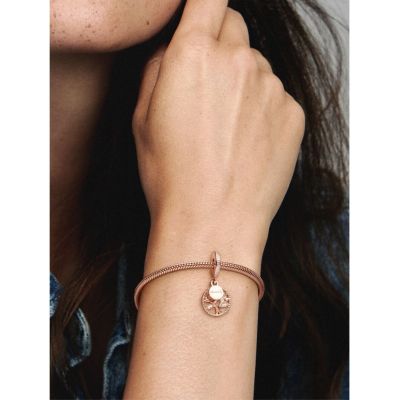 Pandora Rose 781728CZ Charm-Anhänger Familien Stammbaum