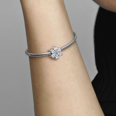 Pandora 792623C01 Charm Damen Funkelndes Herbarium Cluster Zirkonia Silber