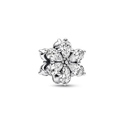 Pandora 792623C01 Charm Damen Funkelndes Herbarium Cluster Zirkonia Silber